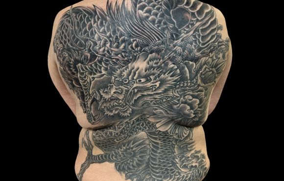 The coverup (dragon)